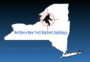 Northern New York Bigfoot Sightings -