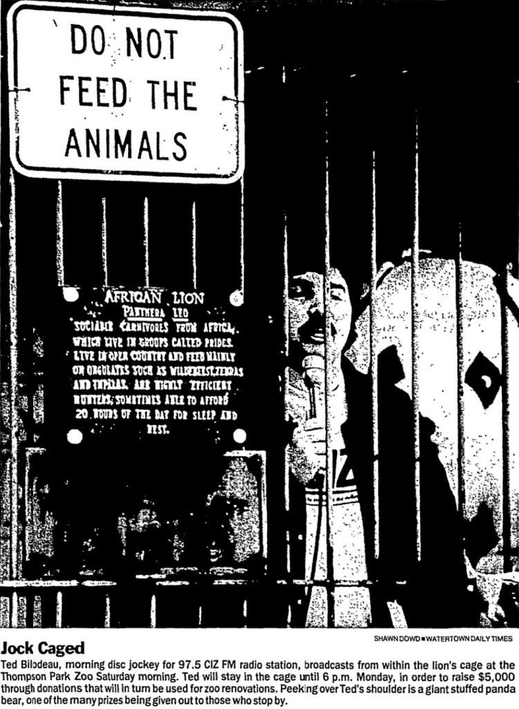 Thompson Park Zoo - Zoo New York (1920 - Present) 7 DJ Roars In Lion's Cage