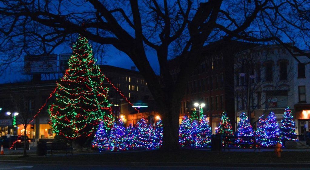 Downtown Watertown Christmas Decorations 9 Christmas Tree and Decorations
