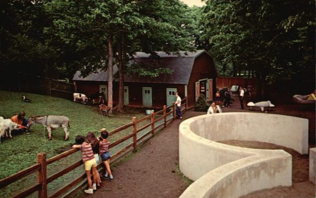 Thompson Park Zoo - Zoo New York (1920 - Present) 4 Thompson Park Petting Zoo
