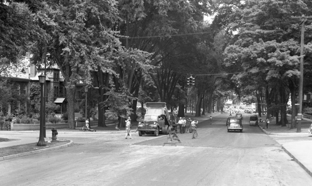 Dutch Elm Disease Toll On Washington Street 1950s - 70s 7 Washington Street in 1946