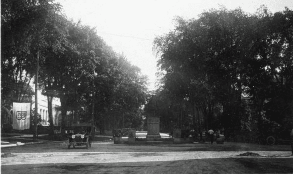 Dutch Elm Disease Toll On Washington Street 1950s - 70s 8 Flower Statue amongst the Elm trees