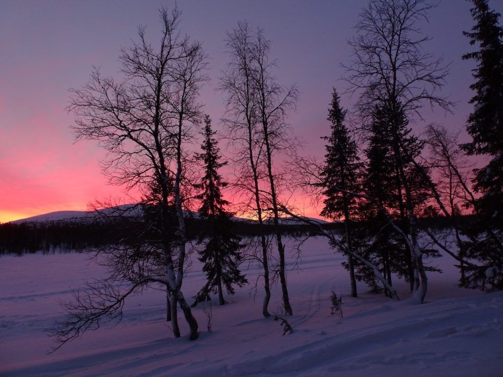 Northern New York Pioneer Christmas - 1804 7 wilderness nightfall